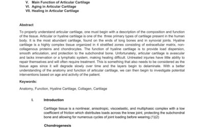 Anatomy and Function of Articular Cartilage